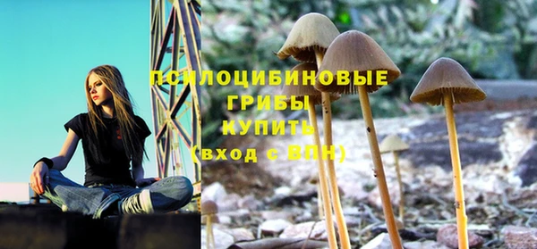 mdpv Дмитров