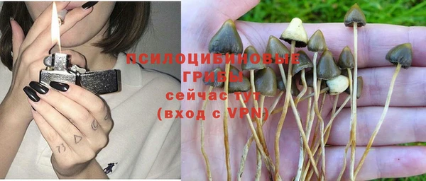 mdpv Дмитров