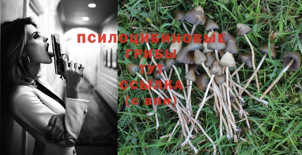 марки lsd Дмитровск