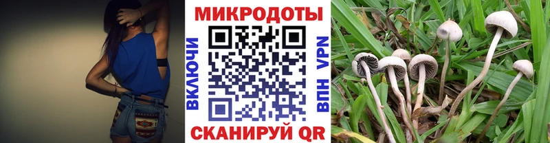 Псилоцибиновые грибы Psilocybe  Купить где  Отрадный 